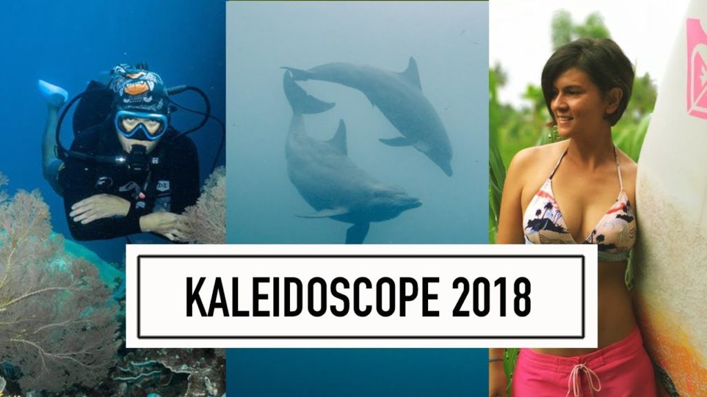 Kaleidoscope 2018 Wet Traveler – Best Surf and Dive footage Kaleidoscope 2018 Wet Traveler - Best Surf and Dive footage