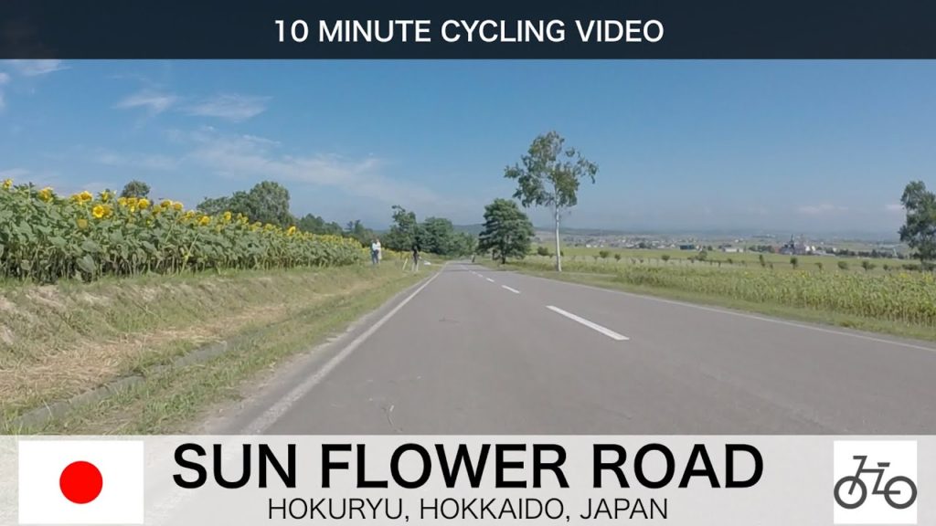 Best Sun Flower Road in HOKKAIDO【CYCLING JAPAN】