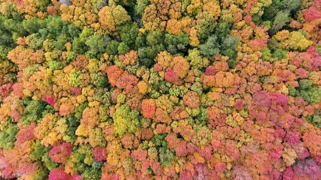 Fall Colors 2019 | Cascade Vacation Rentals