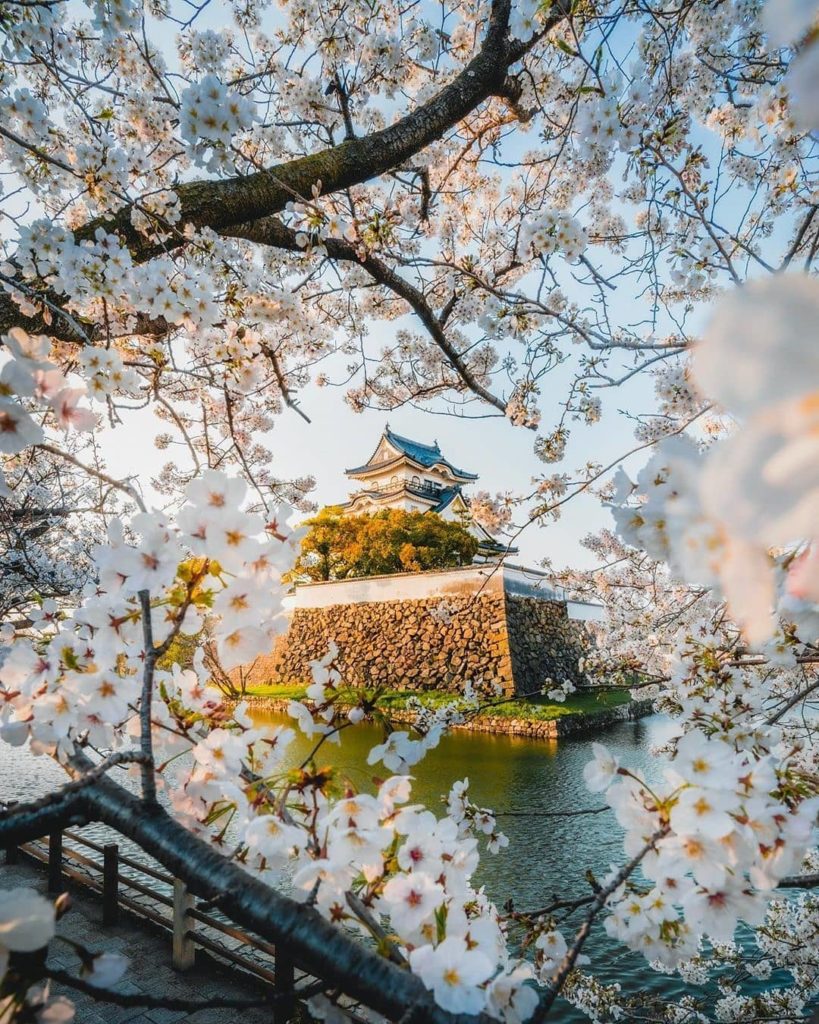 Visit Japan: Osaka might be known as a buzzing metropolis with skyscrapers and neon lights, b… Osaka might be known as a buzzing metropolis with skyscrapers and neon lights, b...