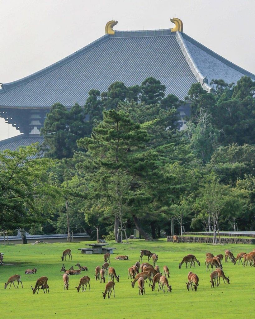 "Come on, 6 feet, guys! Or...1.5 meters?!" We'll forgive these cuties for their ...