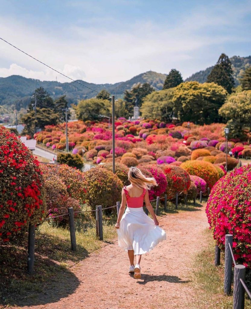 Some parks in Japan have admission fees, but this gem in Nagano Prefecture is fr...