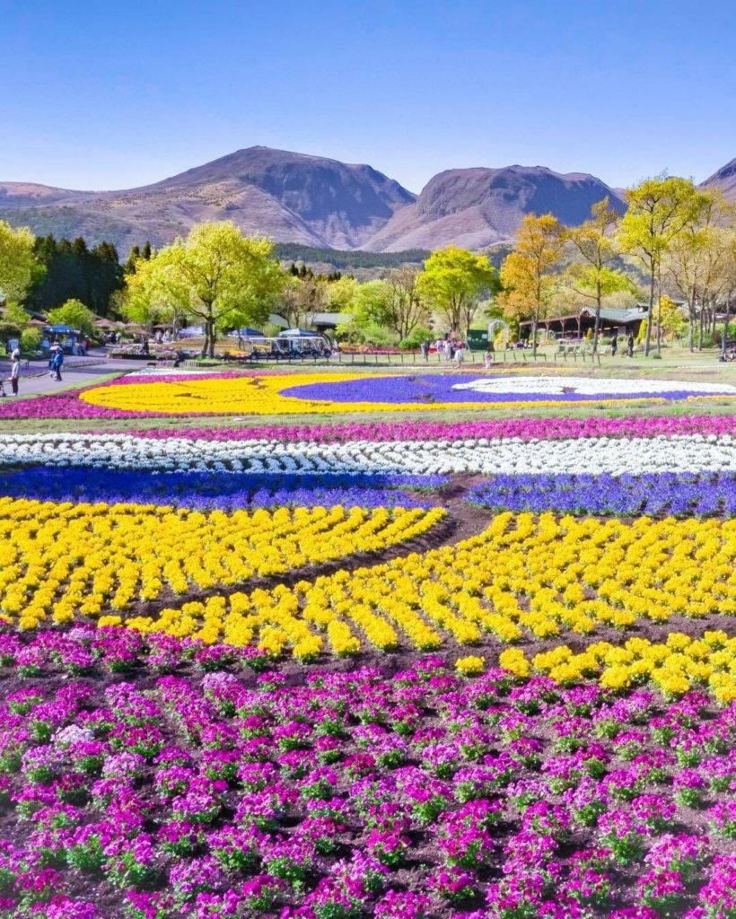 Super-sized spring! We're living vicariously through this gorgeous photo from Oi...