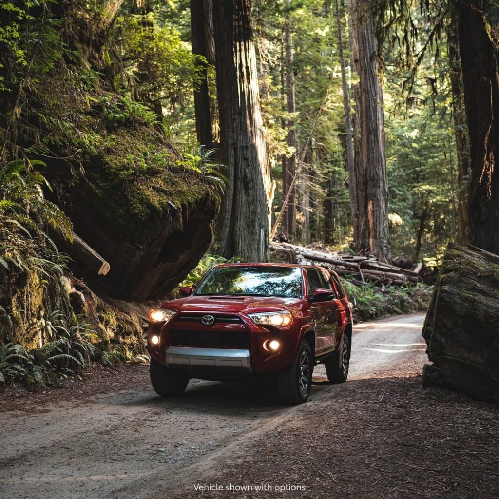 Look forward to the path ahead! #4Runner TRD...