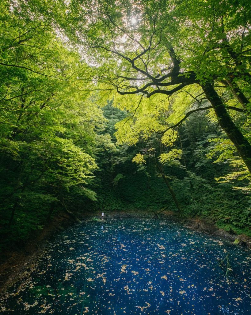 Visit Japan: The mesmerising blue hues of Aoike change with the weather and seasons, making e… The mesmerising blue hues of Aoike change with the weather and seasons, making e...