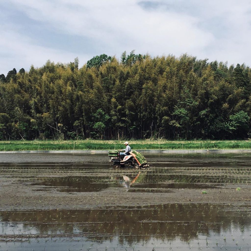 The Japan Times: The month of May is rice-planting season for many farms in Japan, including this… The month of May is rice-planting season for many farms in Japan, including this...