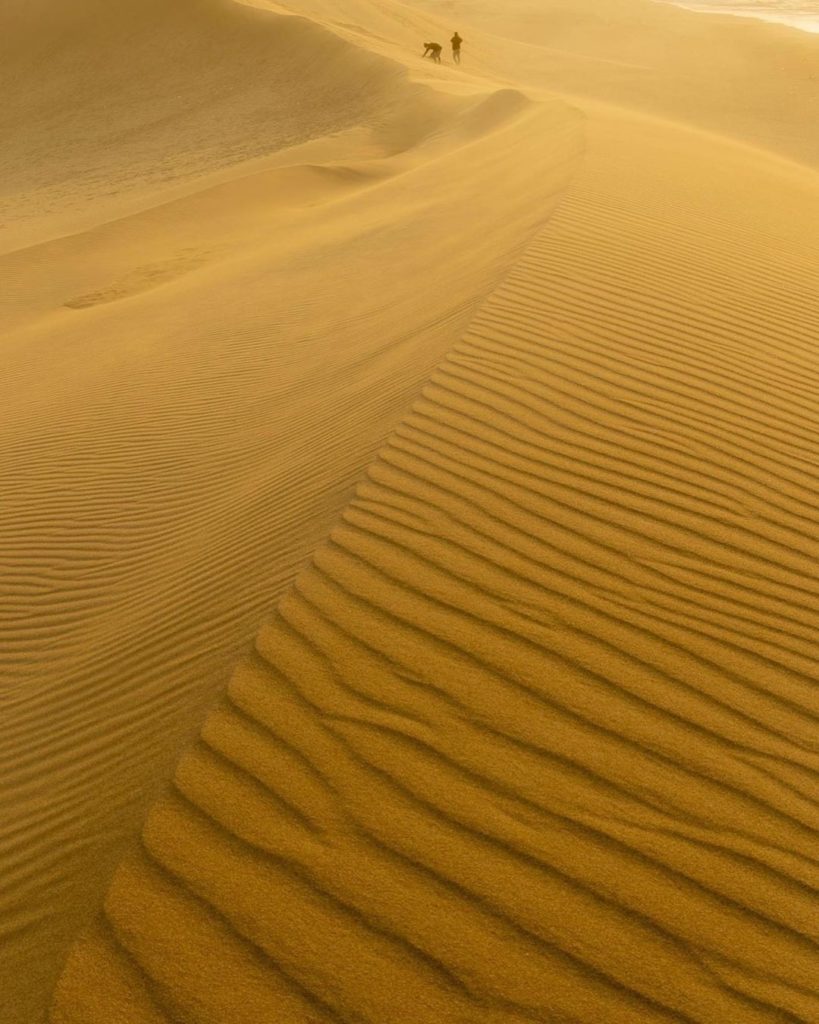 Visit Japan: Japan does not have vast deserts, but it does have a famous dune area. Tottori S… Japan does not have vast deserts, but it does have a famous dune area. Tottori S...