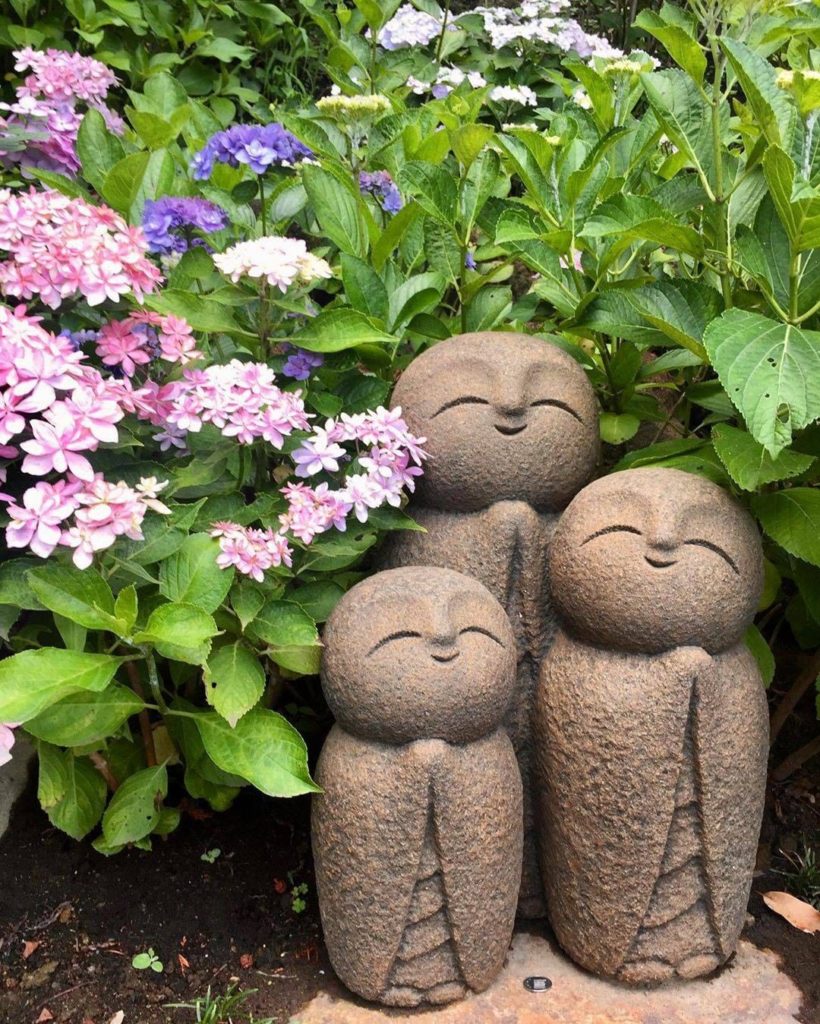 Loved the sentiment behind this photo! @sofiacye captioned it "where flowers blo...