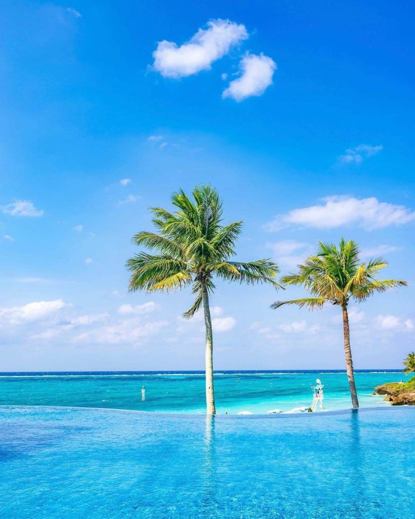 Beautiful blue ocean: 
Palm trees swaying in the breeze: 
The perfect beach trip...