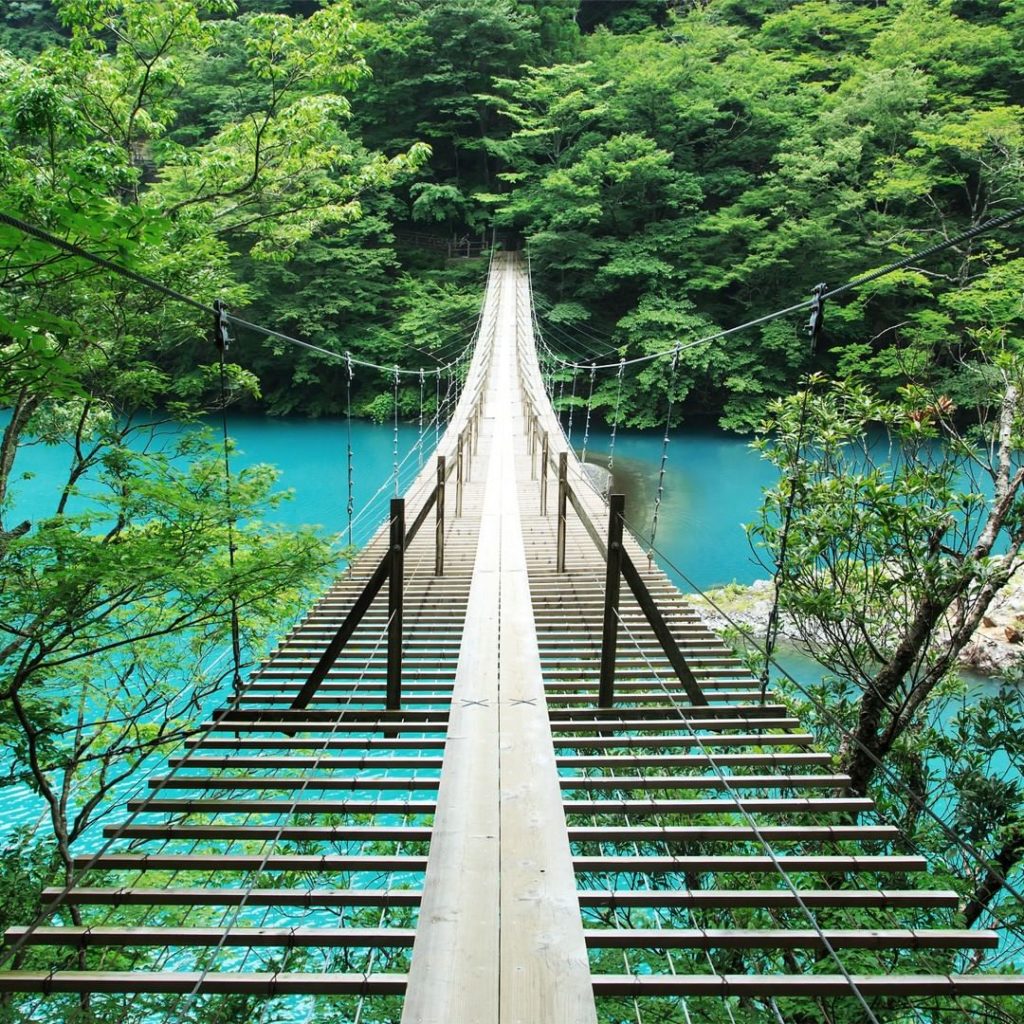 .
The Yume no Tsuribashi Suspension Bridge crosses over the enchanting emerald g...