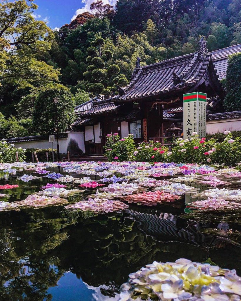 Osaka's Kyuanji Temple is known for being particularly gorgeous during the rainy...