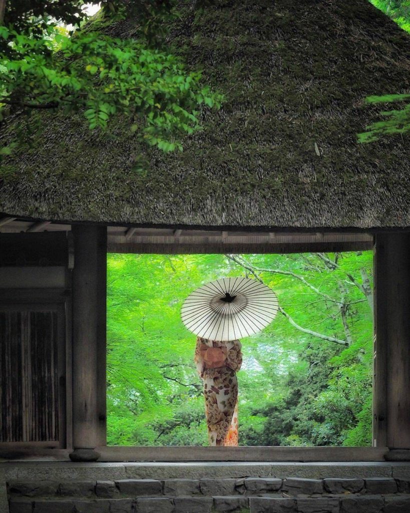 Our favorite part of the rainy season in Japan? Everything is so green, to the p...