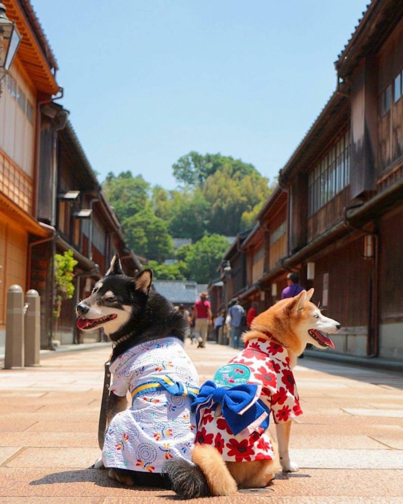 Japan Travel: We’re rolling into the warmer months here in Japan! A 𝒚𝒖𝒌𝒂𝒕𝒂 is a casual summer … We're rolling into the warmer months here in Japan! A 𝒚𝒖𝒌𝒂𝒕𝒂 is a casual summer ...