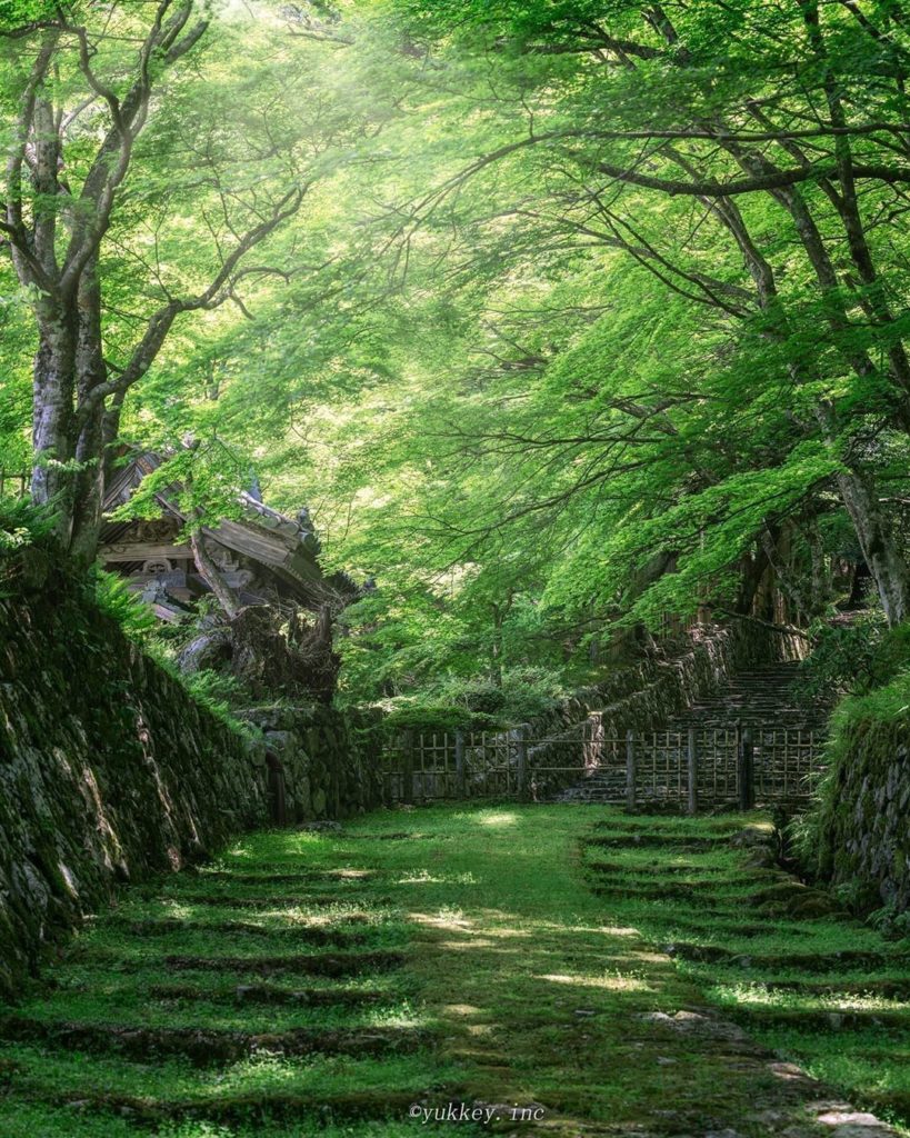 Did you know that one of the oldest temples in Japan, founded in 606, is Hyakusa...