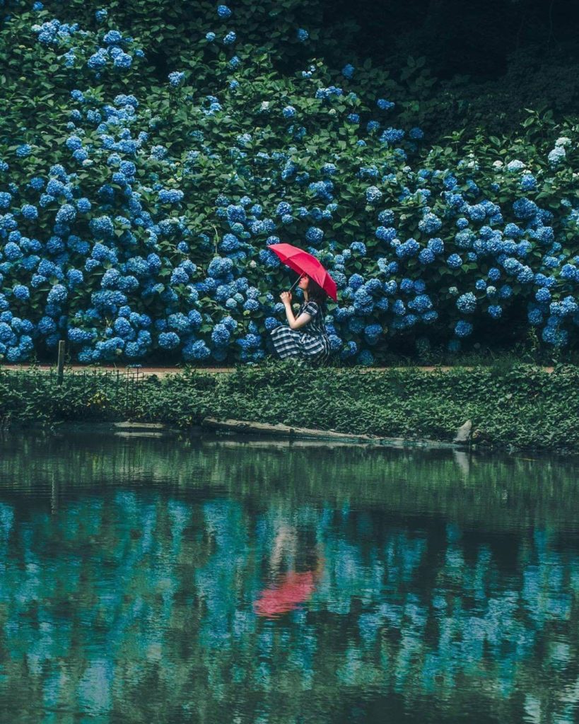 There's no feeling blue with this kind of view! @choro_rin discovered a literal ...