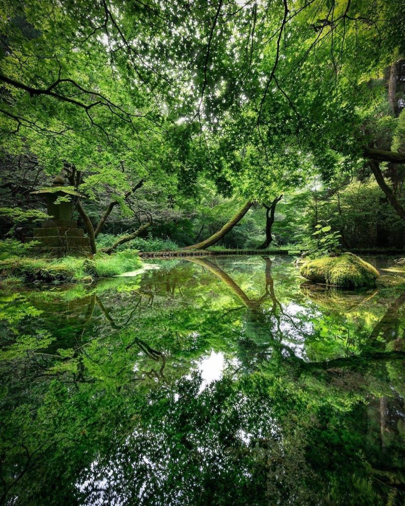 While June in Japan is often known as the rainy season, it also means lush green...