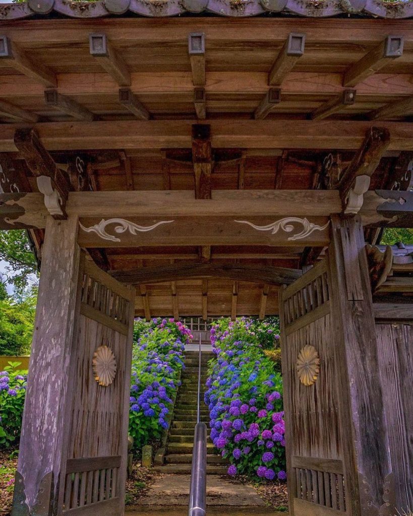 Japan Travel: We like to think that Japan is where magic awaits behind every door! We’re look… We like to think that Japan is where magic awaits behind every door! We're look...