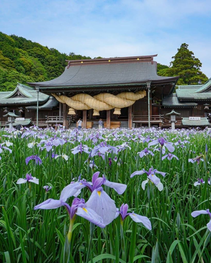 Japan Travel: Another of our rainy season floral favorites are irises, and Fukuoka’s Miyajidak… Another of our rainy season floral favorites are irises, and Fukuoka's Miyajidak...