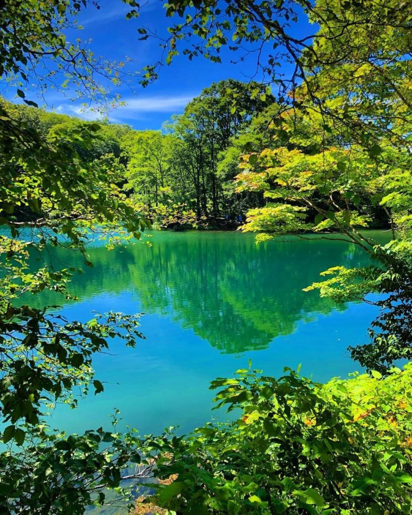 Visit Japan: Today we’d like to introduce Dokkonuma Swamp in Yamagata Prefecture for your fut… Today we'd like to introduce Dokkonuma Swamp in Yamagata Prefecture for your fut...