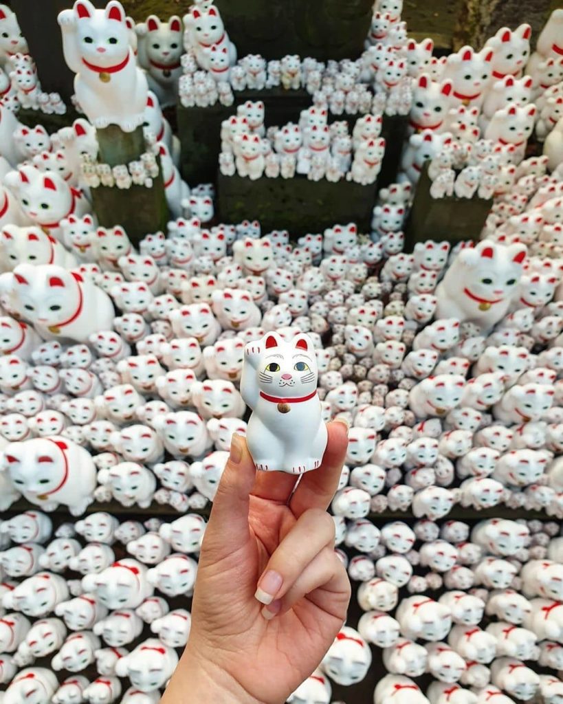 Visit Japan: Hey all you cool cats and kittens. Take a meowment out of your day and let us i… Hey all you cool cats and kittens. Take a meowment out of your day and let us i...