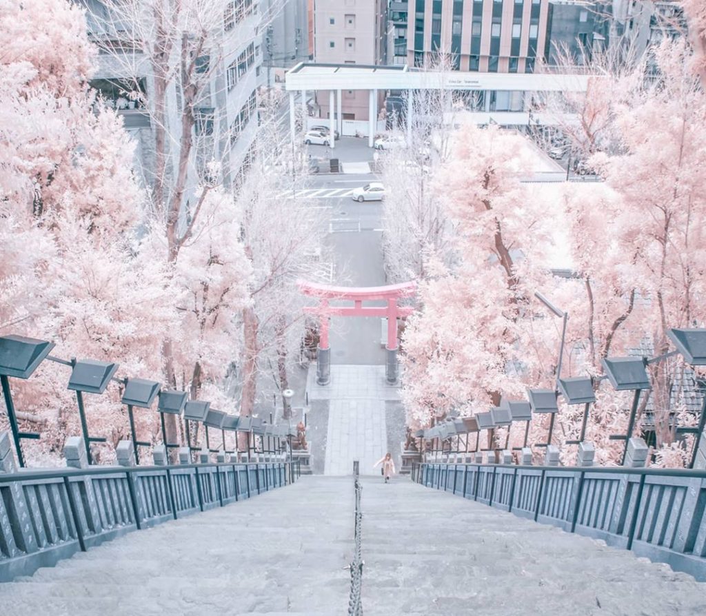The pink gate in Tokyo 
#tokyo #shinjuku...