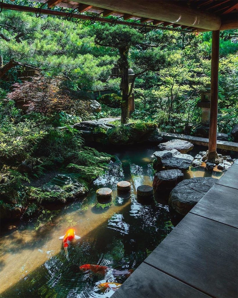 Visit Japan: A common sight in ponds in Japanese gardens, koi fish are admired for their beau… A common sight in ponds in Japanese gardens, koi fish are admired for their beau...