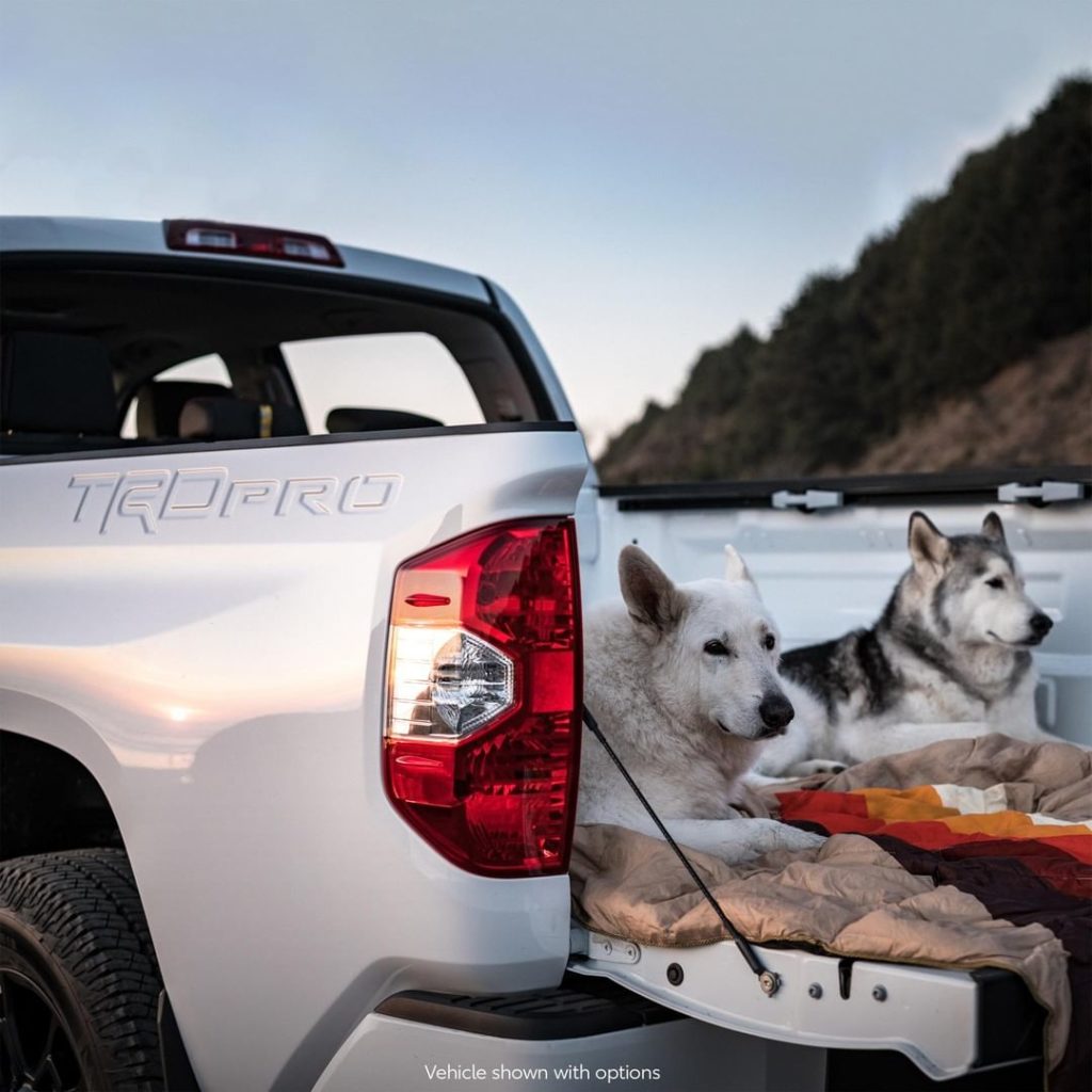All you need is a truck, your best friend @loki, and your favorite spot.  #Tundr...