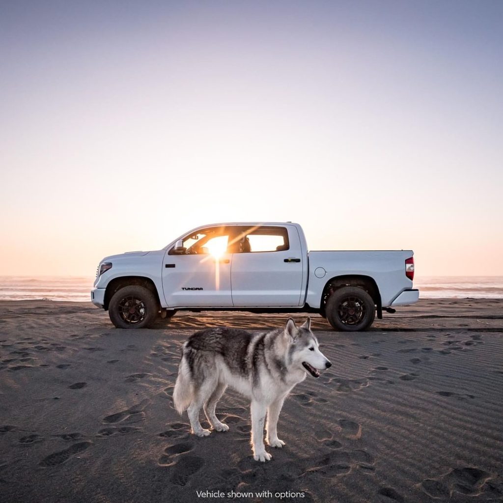 Lone wolf by choice. @loki #Tundra #TRD Pro #LetsGoPlaces...