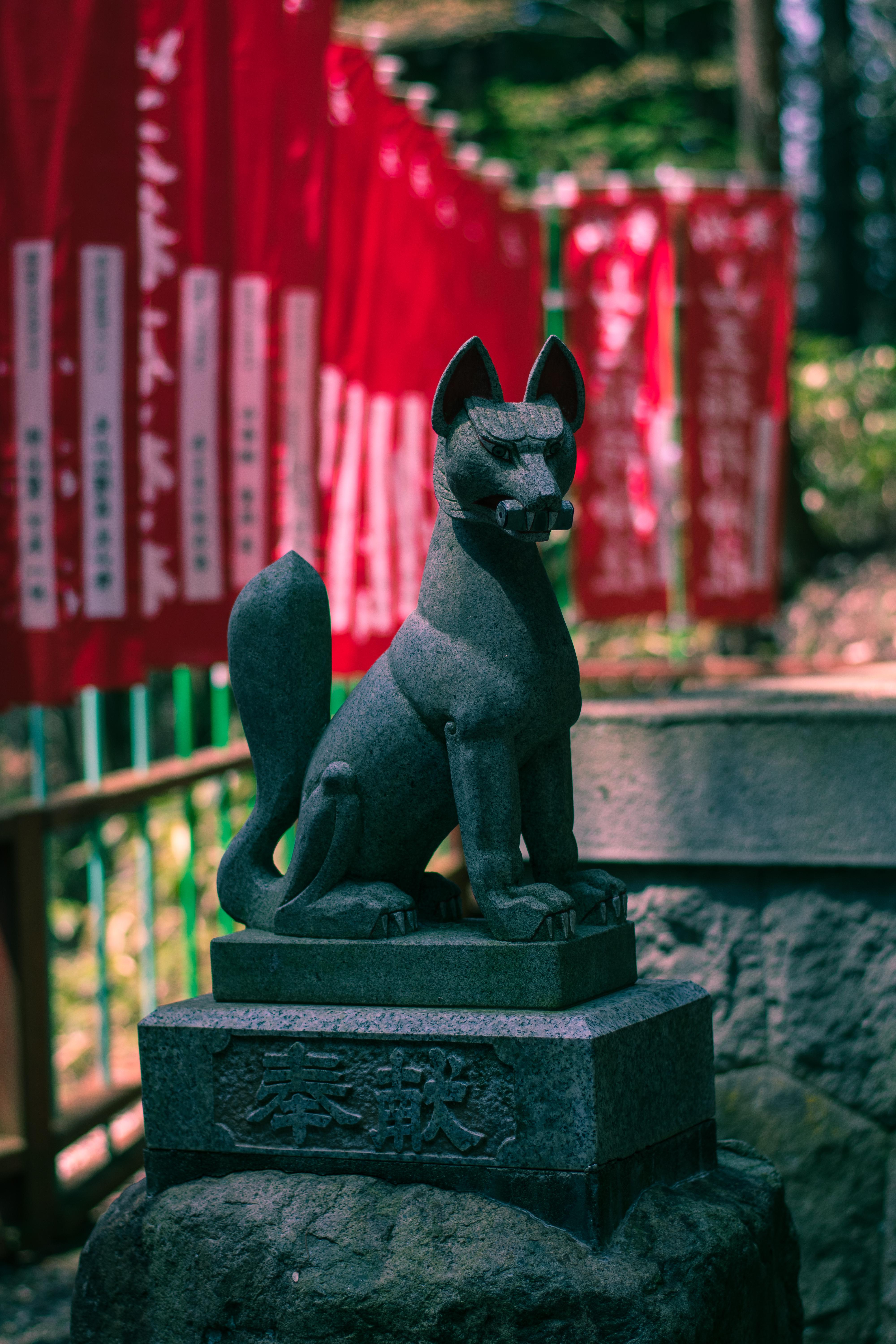 The Kitsune (Fox) is iconic for Inari shrines. Takayama, April 2020