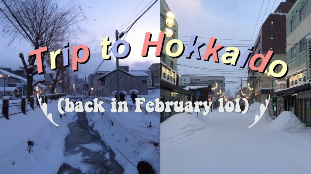 Hokkaido diaries (part 1) | Travel Vlog