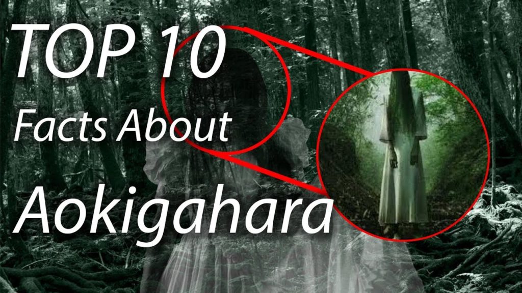 Top 10 Facts About The Suicide Forest Aokigahara
