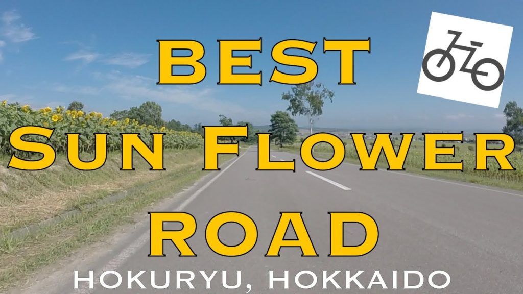 Best "Sun Flower Road" in HOKKAIDO【CYCLING JAPAN】