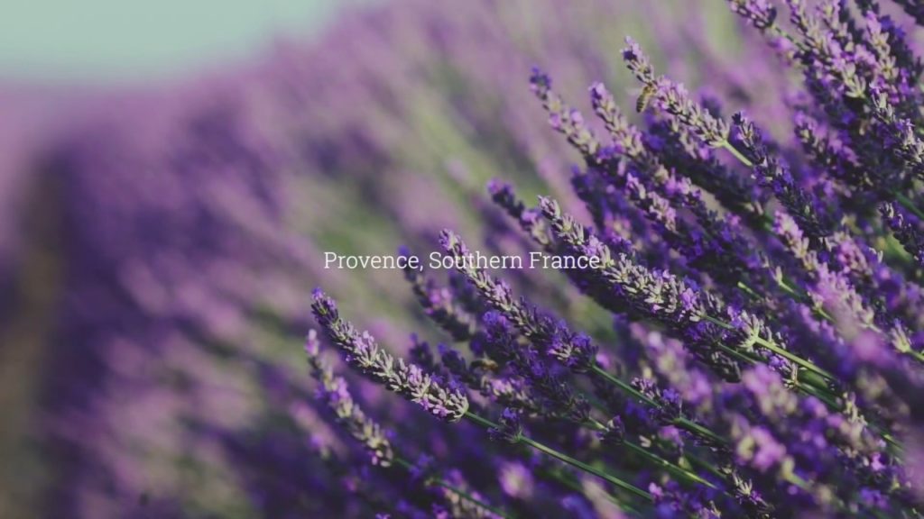 Trek Travel Provence Luxury Cycling Vacation