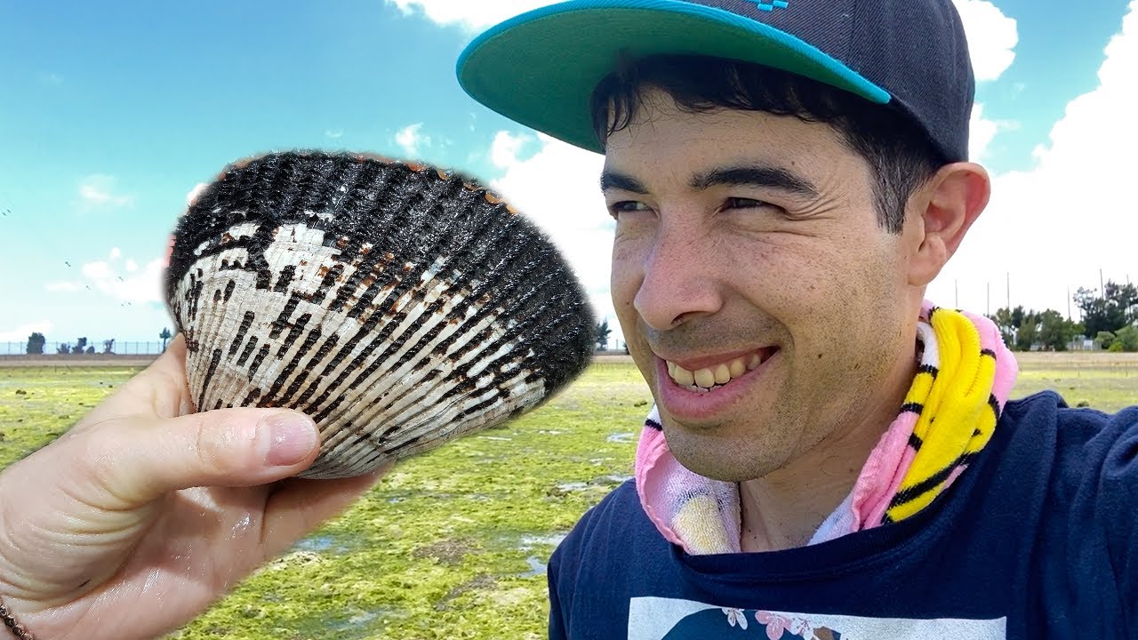 Catching Clams In Japan Okinawa Clamming Alo Japan