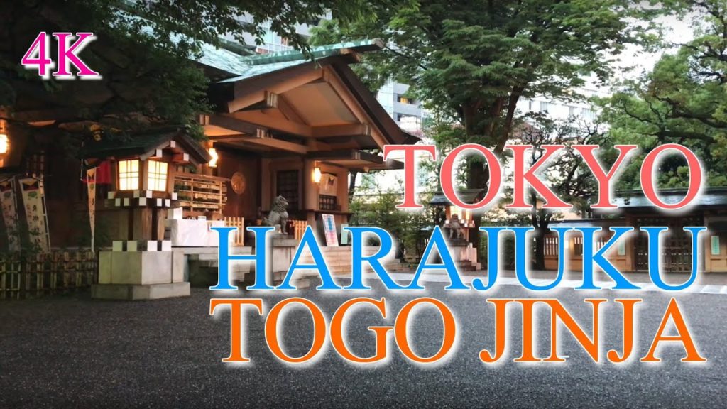 [4K] 100 Beautiful Places to Go in Tokyo 32 "Togo Jinja" in Shibuyaku, Tokyo, Japan / Discover Japan
