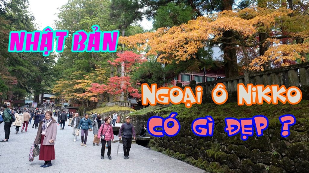 Nhật Bản/ Cảnh trên đường đi về vùng ngoại ô Nikko có gì đẹp ?