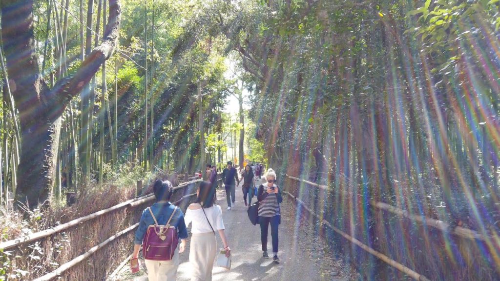 4K ᵁᴴᴰ | Short walk around Sagano Bamboo Forest | Arashiyama | Kyoto | Japan 4K ᵁᴴᴰ | Short walk around Sagano Bamboo Forest | Arashiyama | Kyoto | Japan