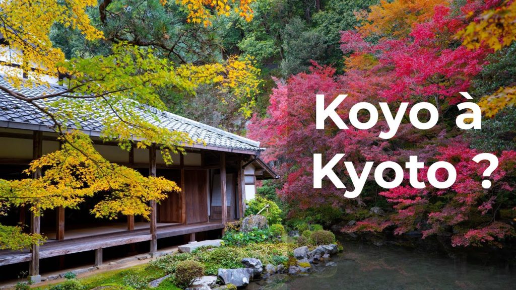 Voir l'automne au Japon : Koyo à Kyoto ?