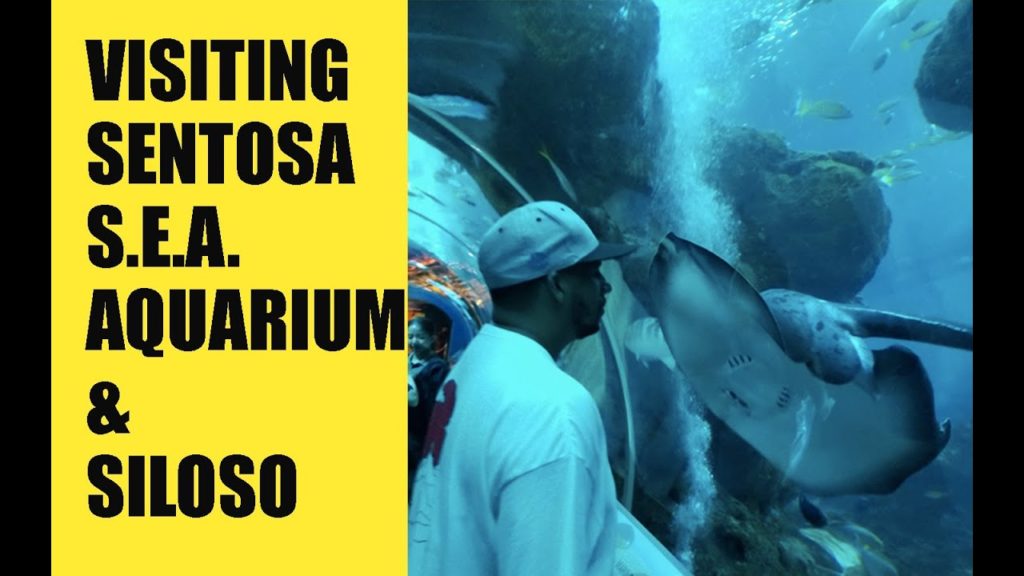 VISITING SENTOSA | S.E.A. AQUARIUM DURING FEEDING TIME | EATING AT 7-ELEVEN | SINGAPORE TRIP 2019