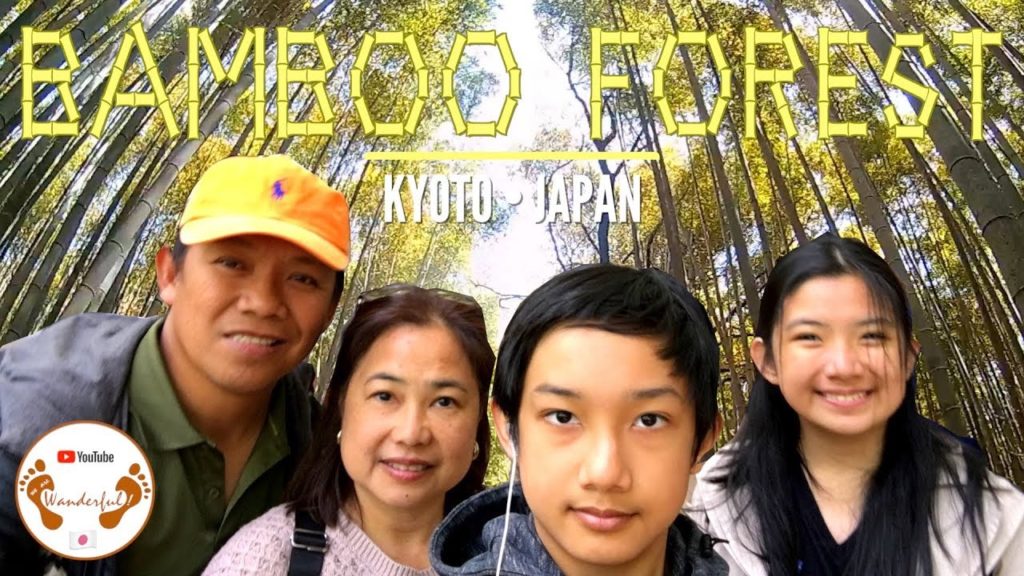 A Bamboo Forest in Kyoto | Kyoto | Japan | We.Are.Wanderful