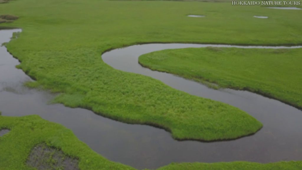HNT Drone Flight over Uryu Marsh, Hokkaido