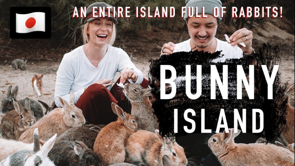 BUNNY ISLAND! ENTIRE island full of WILD RABBITS! OKUNOSHIMA