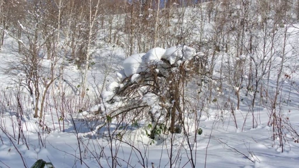 The Snowmobiling in Hokkaido Japan 2013 The Snowmobiling in Hokkaido Japan 2013