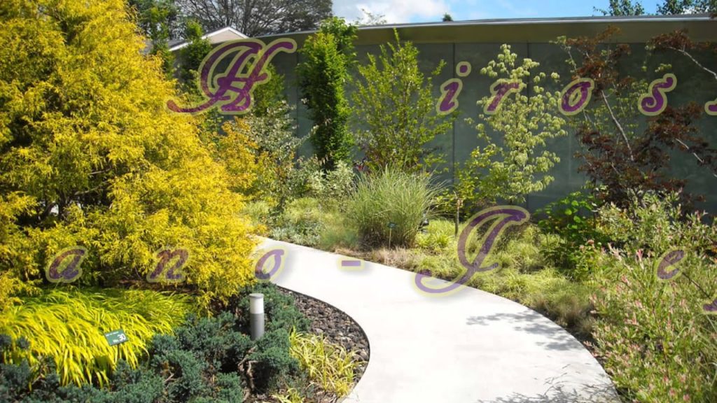 Travel Jepang: Membuat Penemuan baru di Museum Hiroshi Senju, Karuizawa, Nagano 53