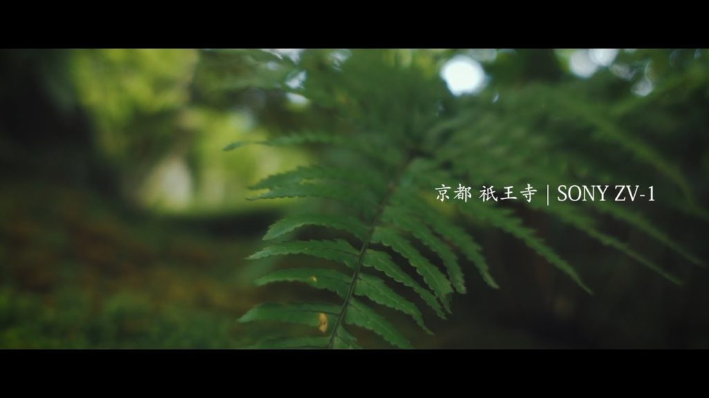 Giou-ji Kyoto | SONY ZV-1 Cinematic Video Giou-ji Kyoto | SONY ZV-1 Cinematic Video