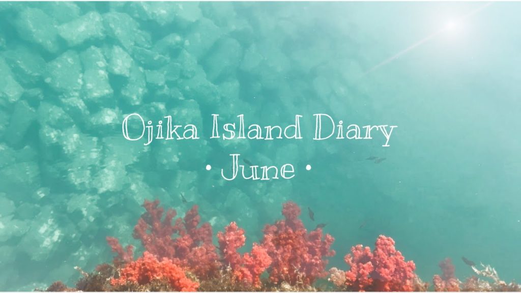 Ojika Island Diary: June Edition | 6月の小値賀~島人の暮らし~ Ojika Island Diary: June Edition | 6月の小値賀~島人の暮らし~
