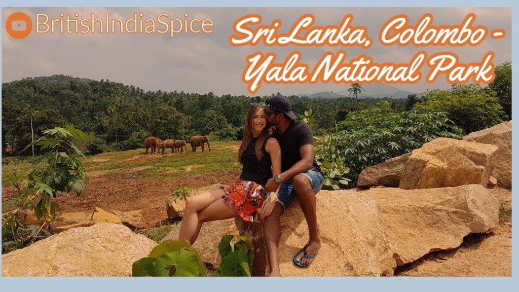 TAKING IT BACK TO BEAUTIFUL SRI LANKA! Colombo - Kandy - Pinnawala - Negambo - Yala - Safari - Food