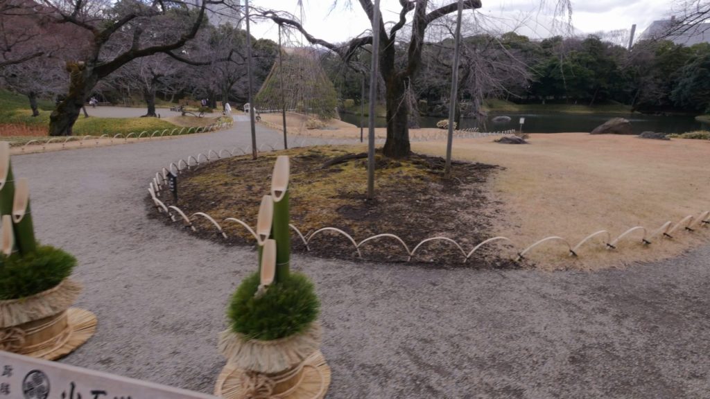 Koishikawa korakuen on a winter day