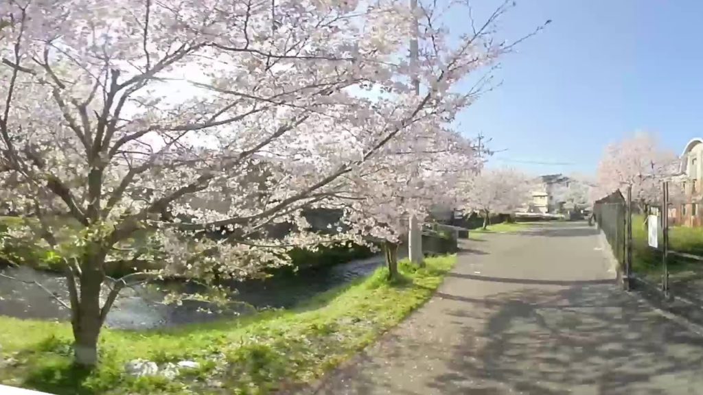 [360 Video] Hakemiya Park（水道記念館） Route1｜Kumamoto VR Walker