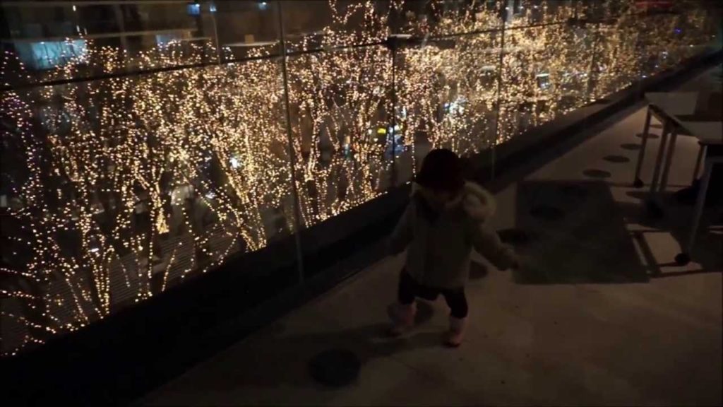 Pageant of Light in Sendai Japan from Media take Sendai library vol1